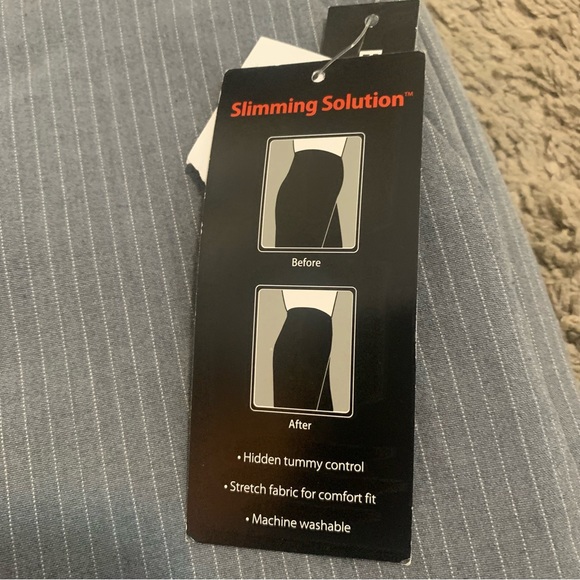 NWT Briggs New York Petite Pinstripe Pants 10P - Picture 5 of 10